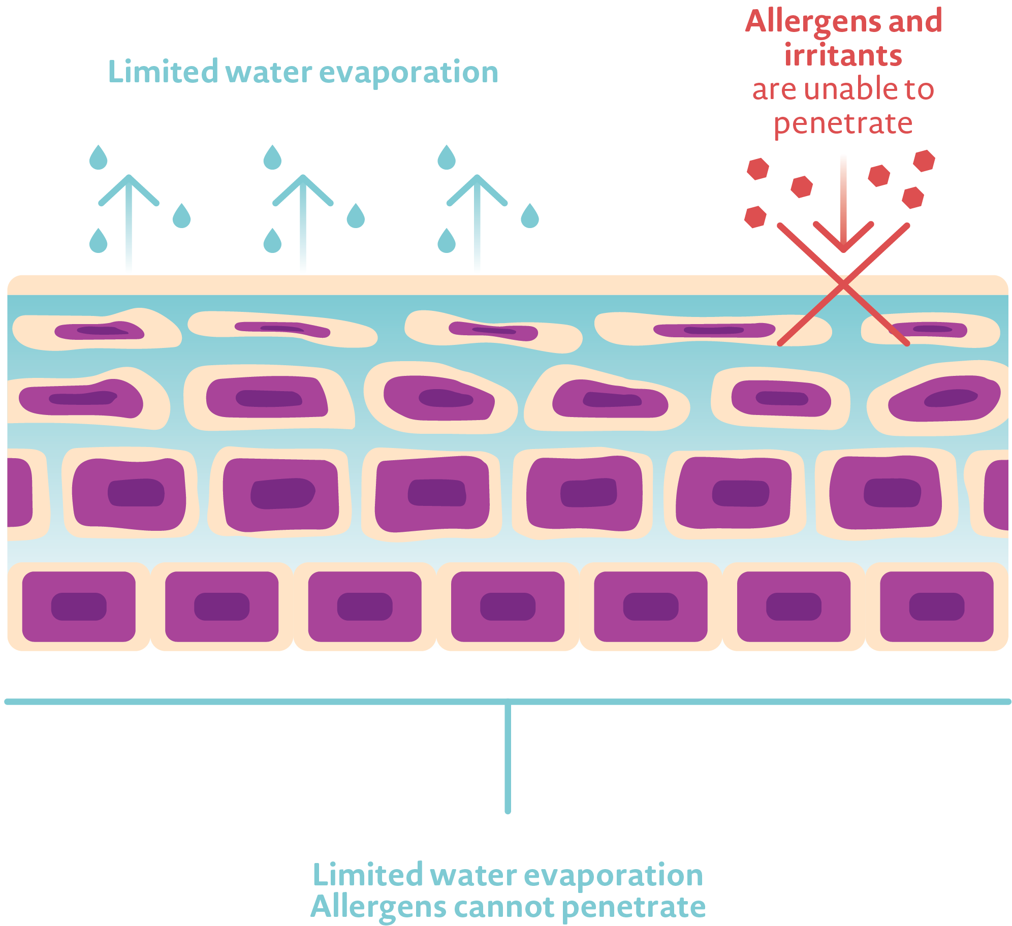 water evaporation