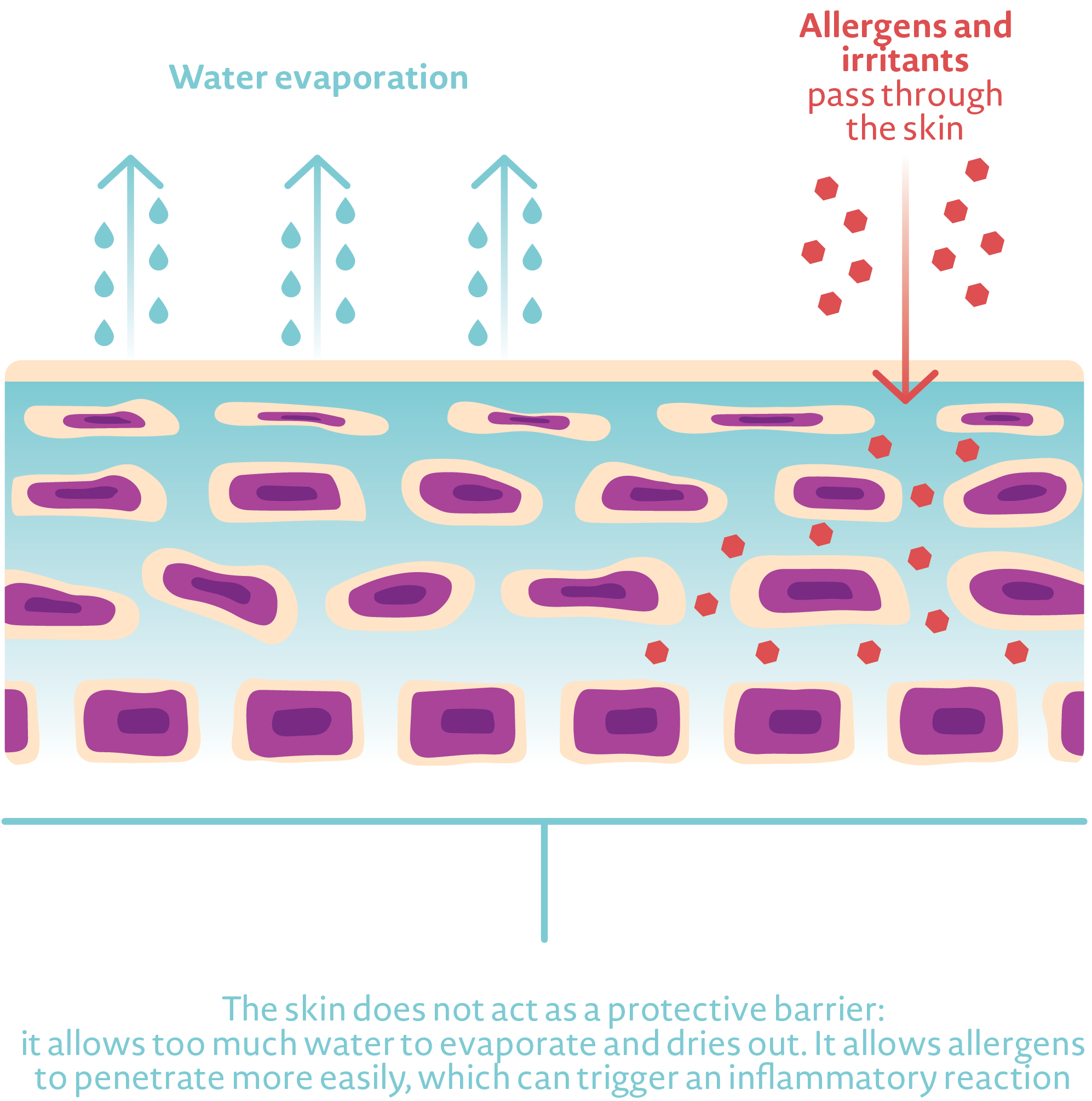 limit water evaporation